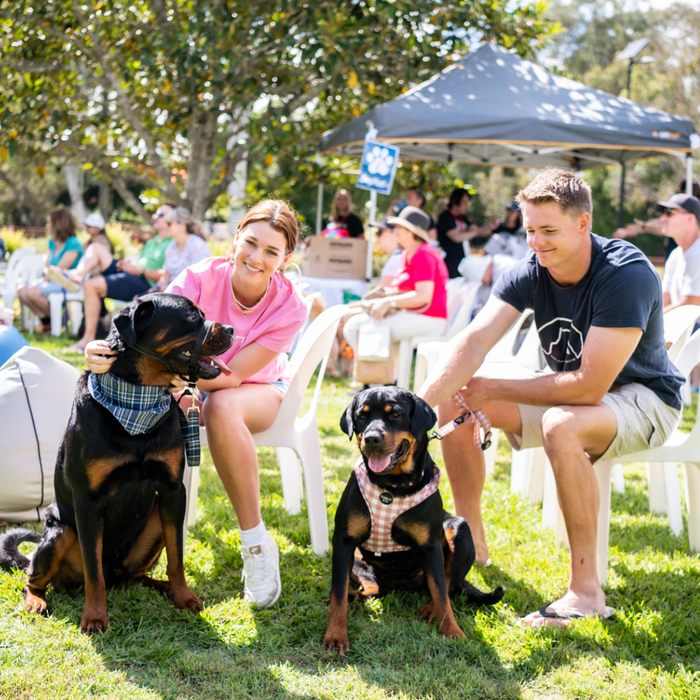 Grab the lead and get down to DogFest