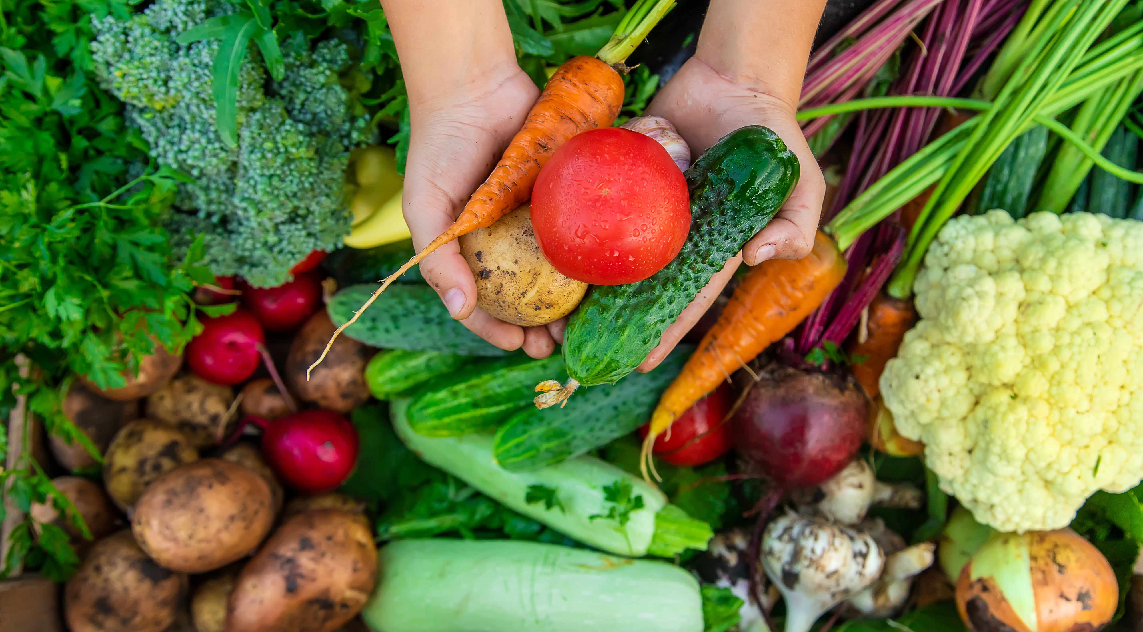 fresh picked produce