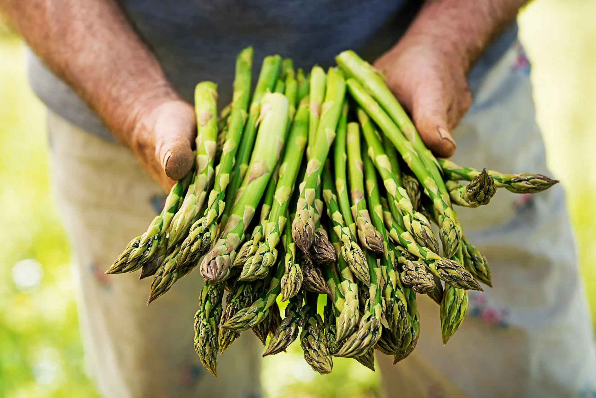 asparagus