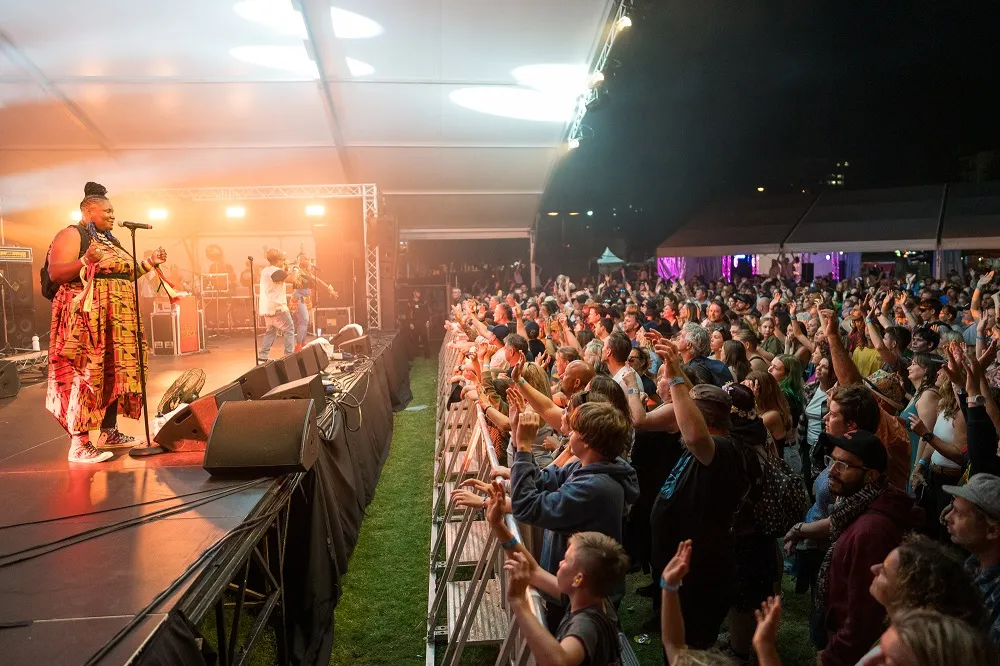Arrested Development on stage and the crowd in the moshpit