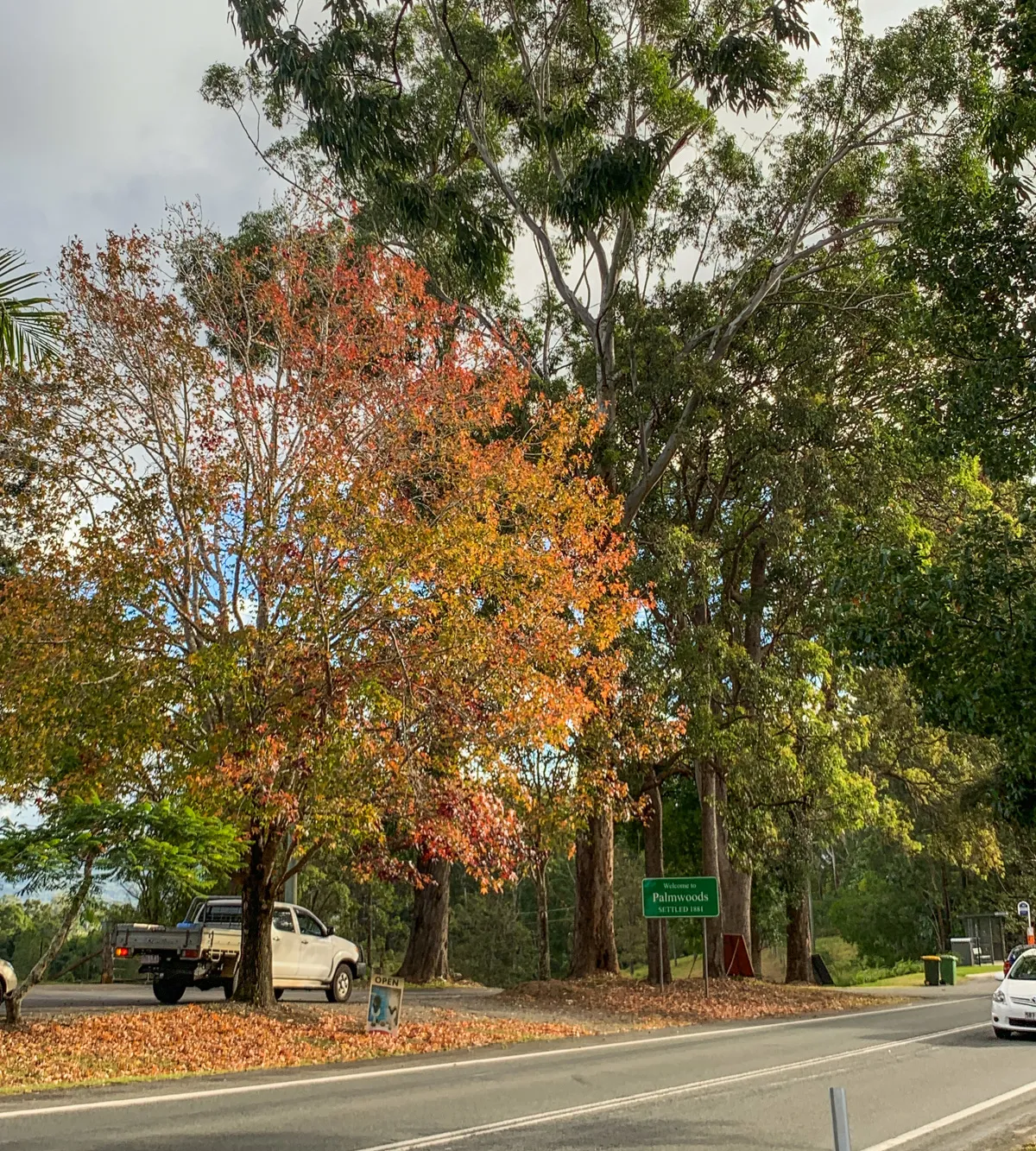 Woombye to Palmwoods trail