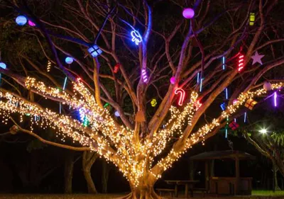20211203__festive-lighting-and-decorations.jpg