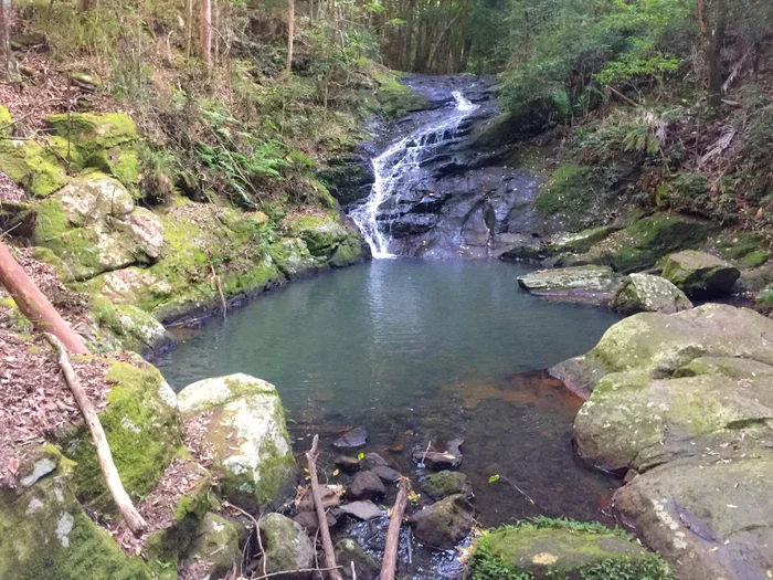 Kondalilla National Park Rock Pools Walk