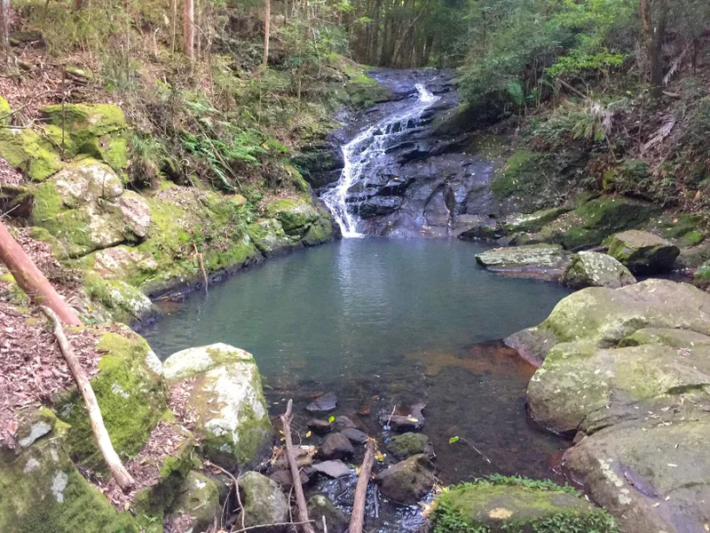 Kondalilla National Park Rock Pools Walk