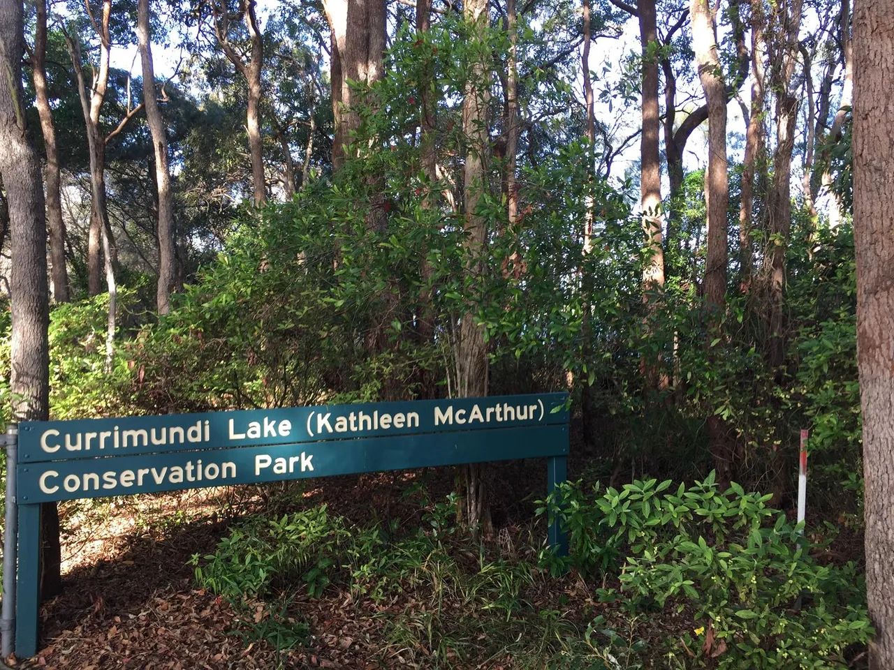 Currimundi Lake – ‘Loop the Lake’ walk