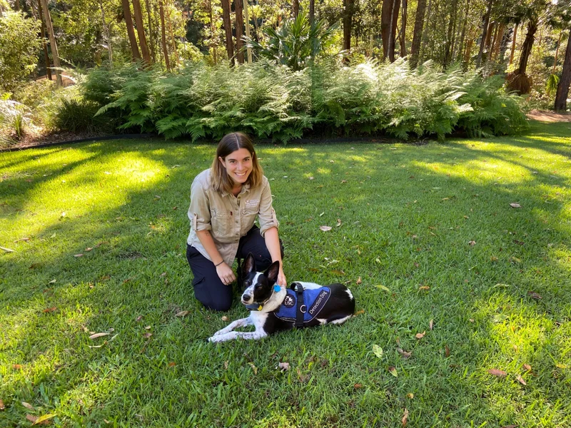 koala-survey-6-Katrin-from-USC-detection-dog-Billy..jpg