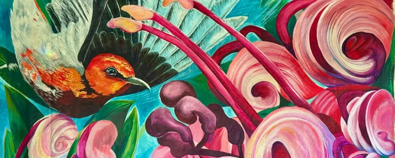 Leaf to Wing - the Maleny Understory