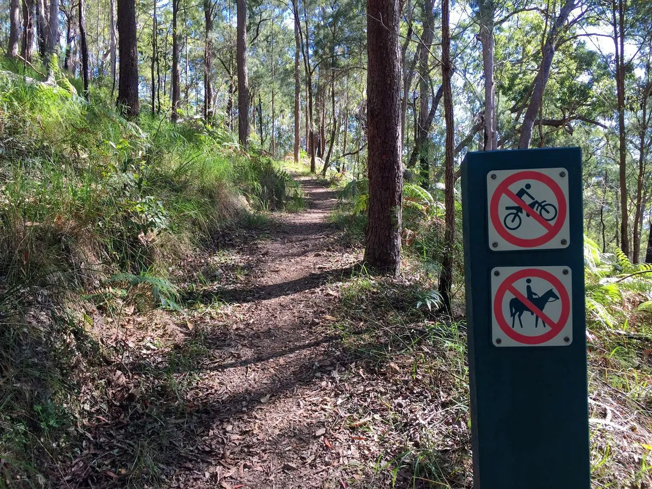 Mapleton National Park – Gheerulla Full Loop Hike