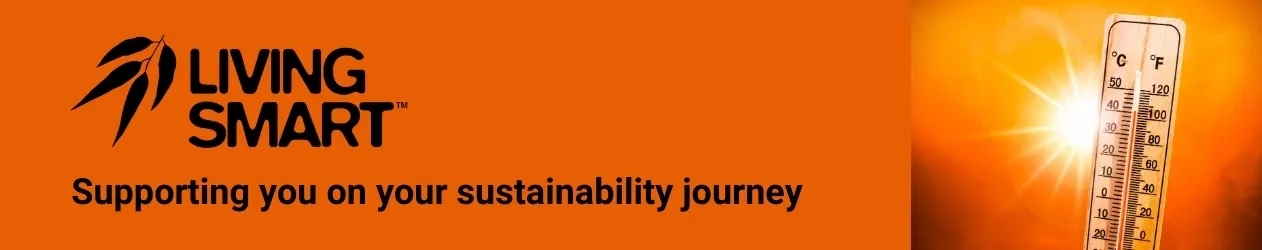 Living Smart Branding