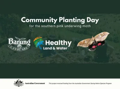 community planting day title promotion