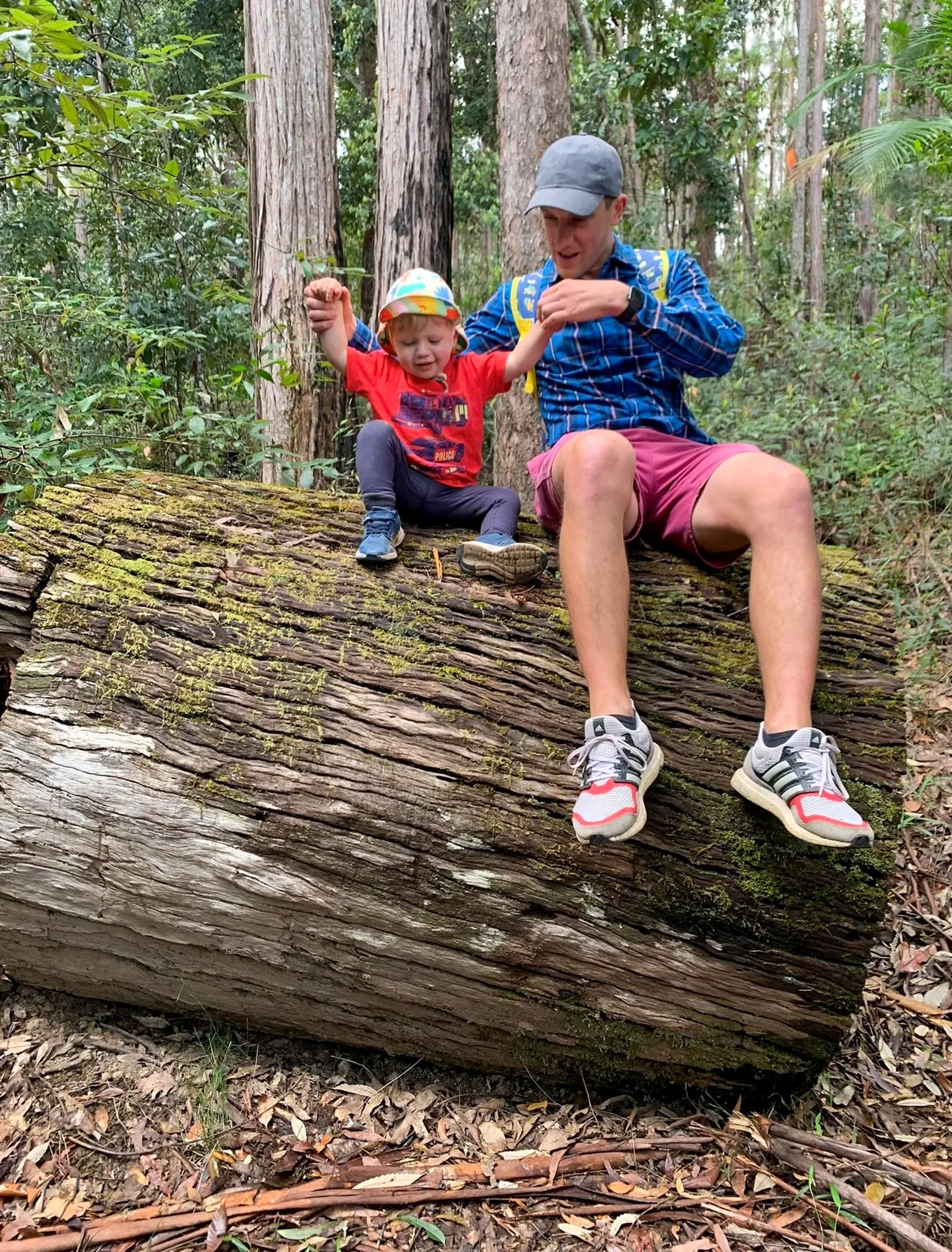 Cooloolabin Dam – Day-use short walk