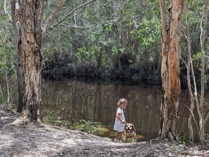 Discover hidden gem in middle of Pelican Waters