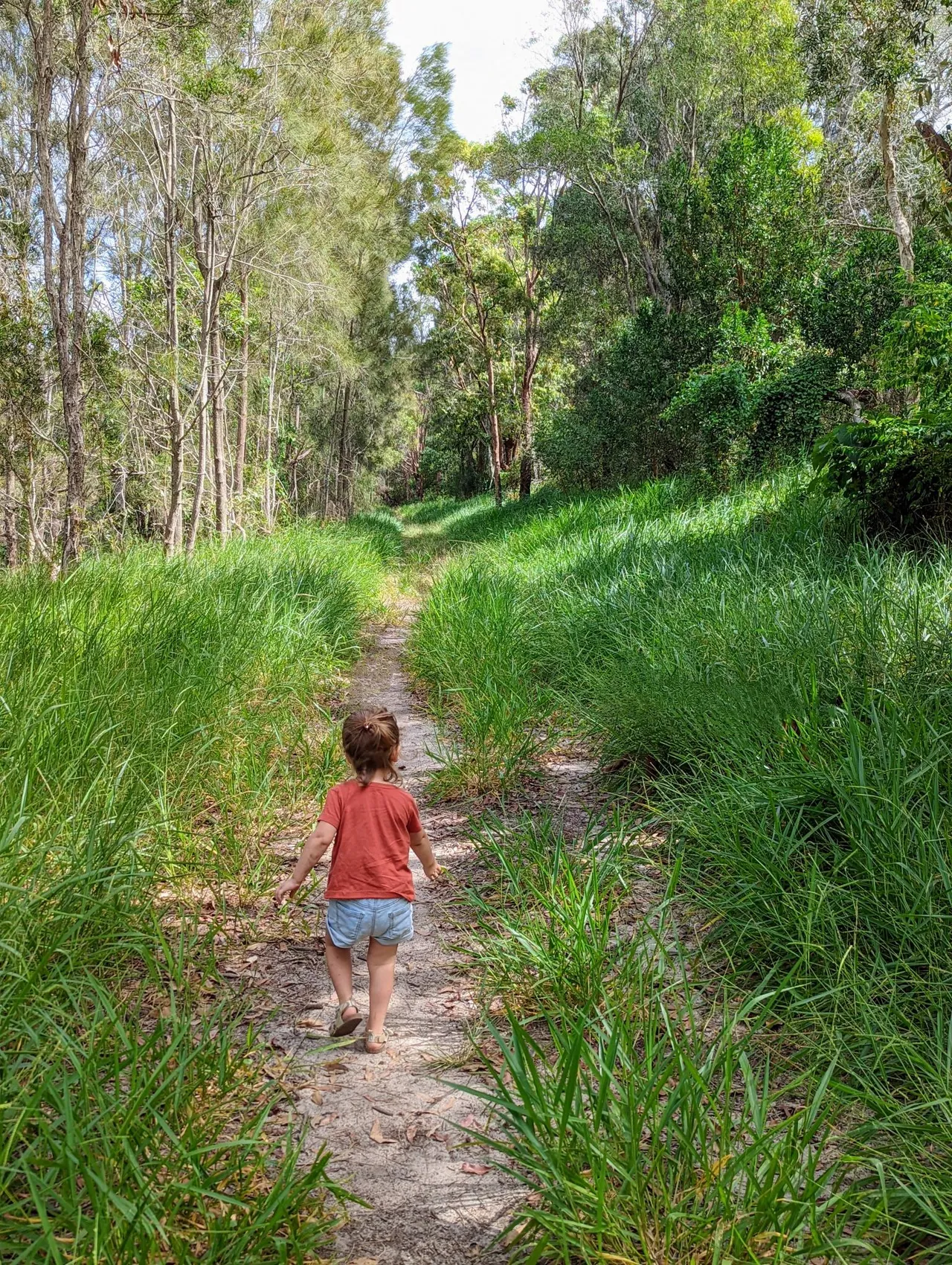 Stumers Creek to Magenta Drive Park, Coolum