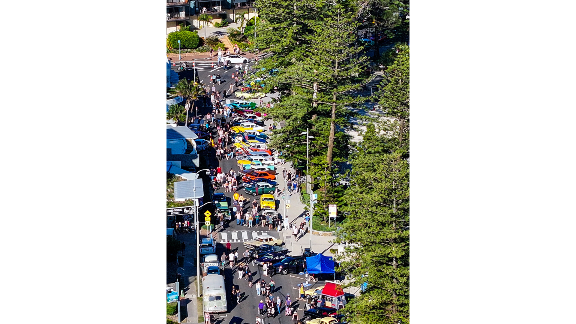 An aerial view of the street filled with people and classic and custom cars on display, with beautiful green trees lining the street on the right.