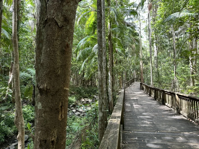 Adventure: Buderim Forest Park – River Walk reopened 