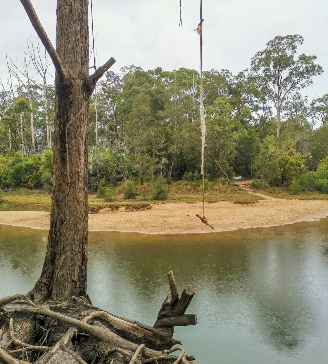 Buderim Walks: Mountain Creek Circuit