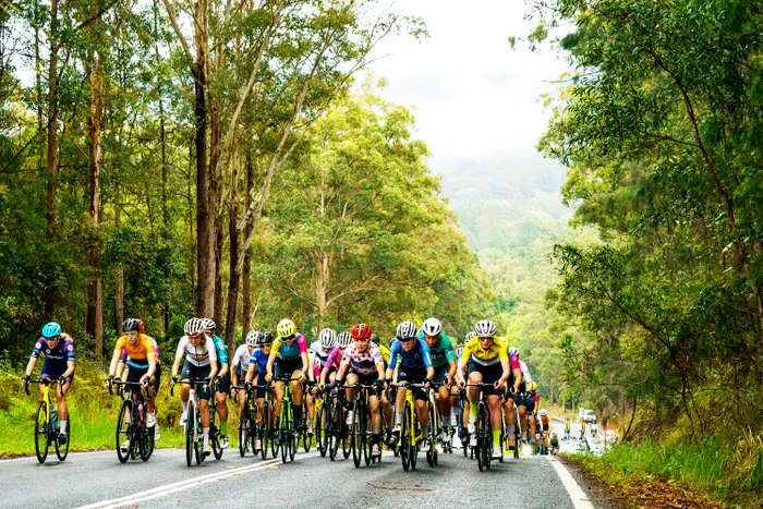 Collection of racing female cyclists on a lush green country road