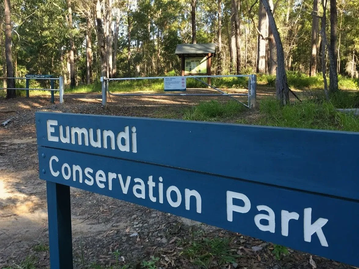 19620_Eumundi%20Conservation%20Park%20Seib%20Road%20Loop%20IMG_3044_2.jpg