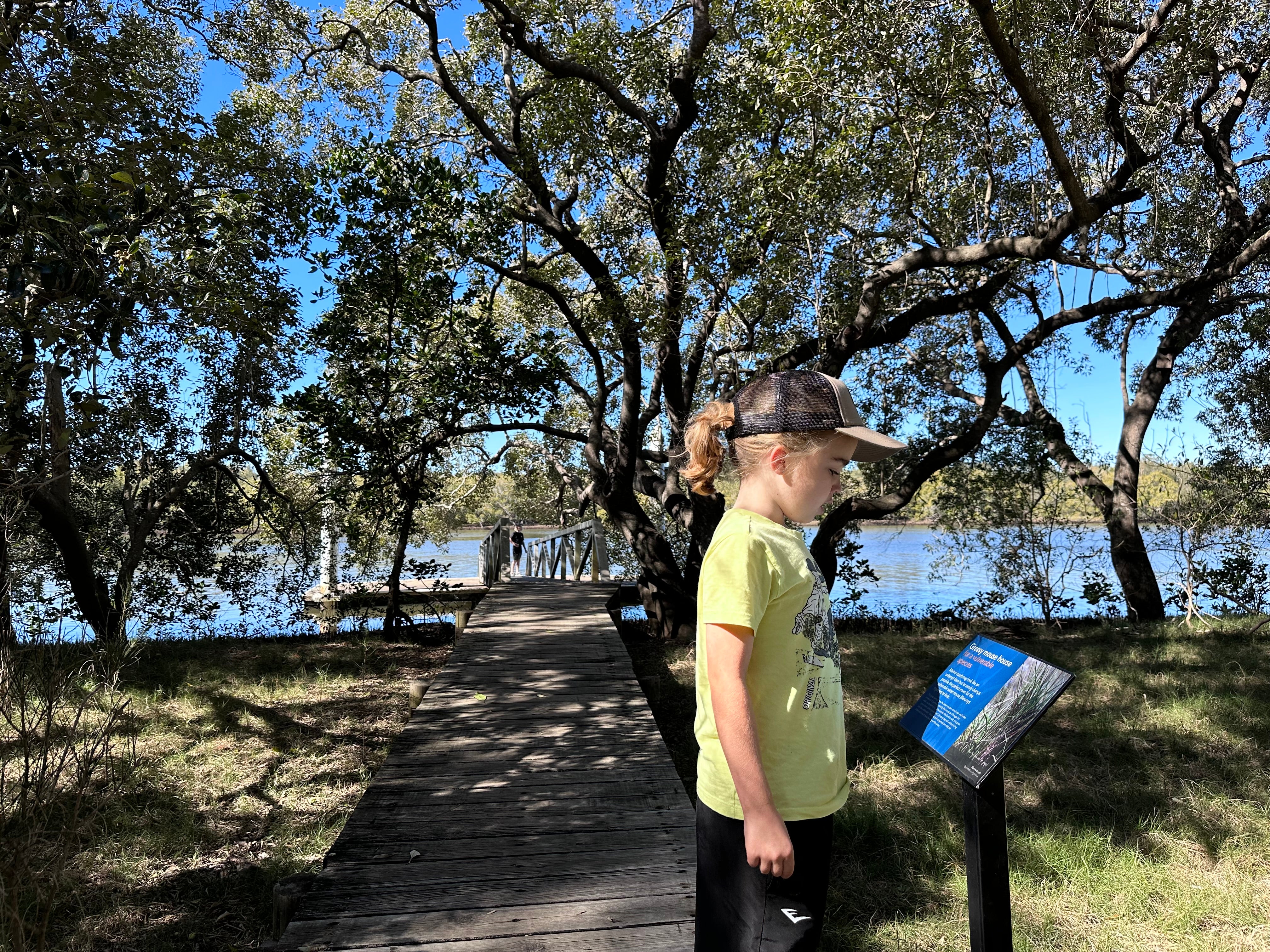 Maroochy%20Wetlands%20Sanctuary%20%281%29.JPG
