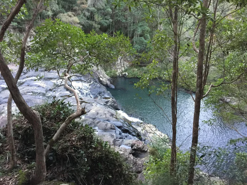 Conondale National Park – Booloumba Falls Walk | OurSC