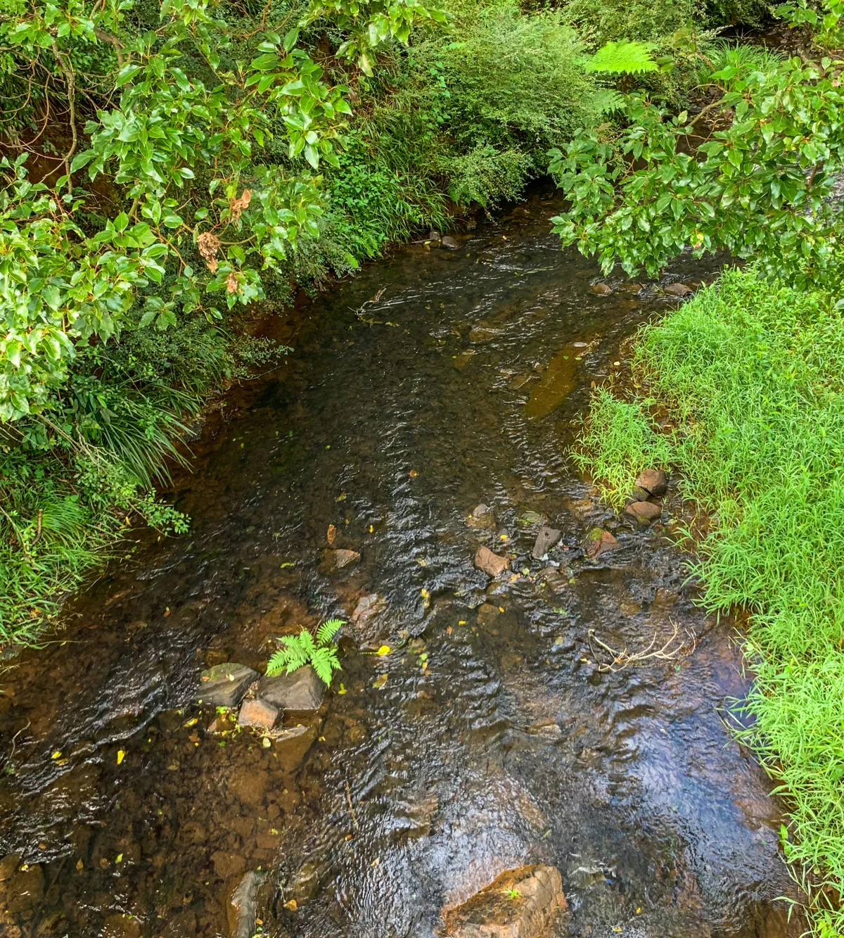 22820_Creek_edited.jpg