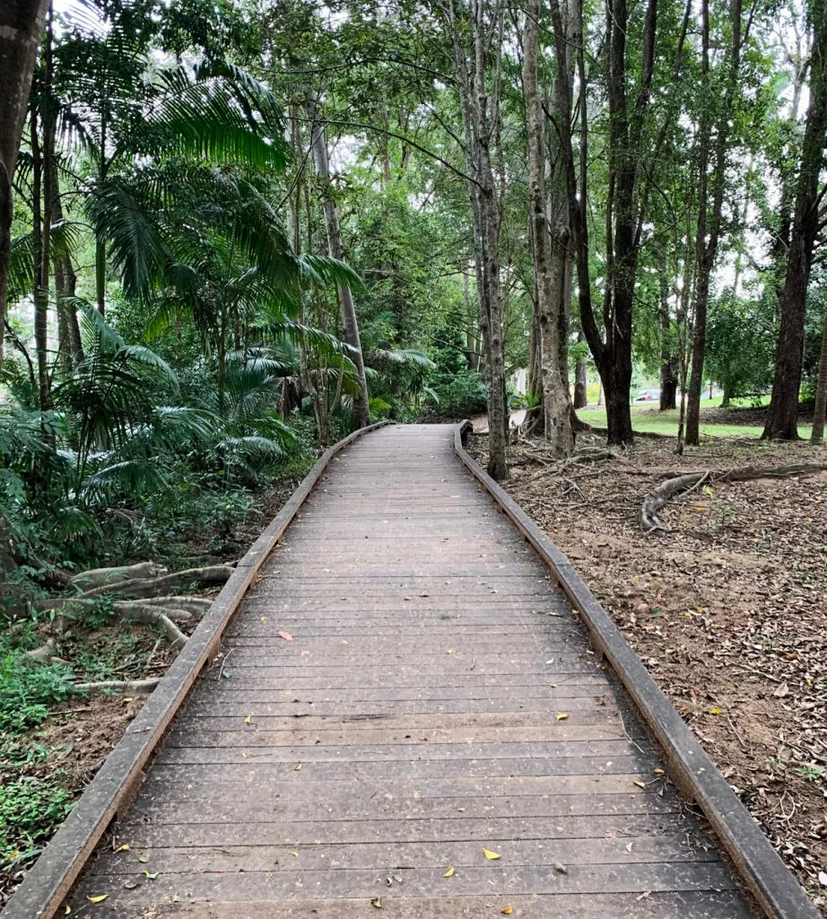 Gary-Evans-Walkway-922x1024.jpg