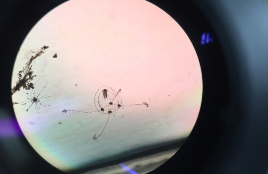 C788B568-3022-4E78-A127-A33C36D1EB61