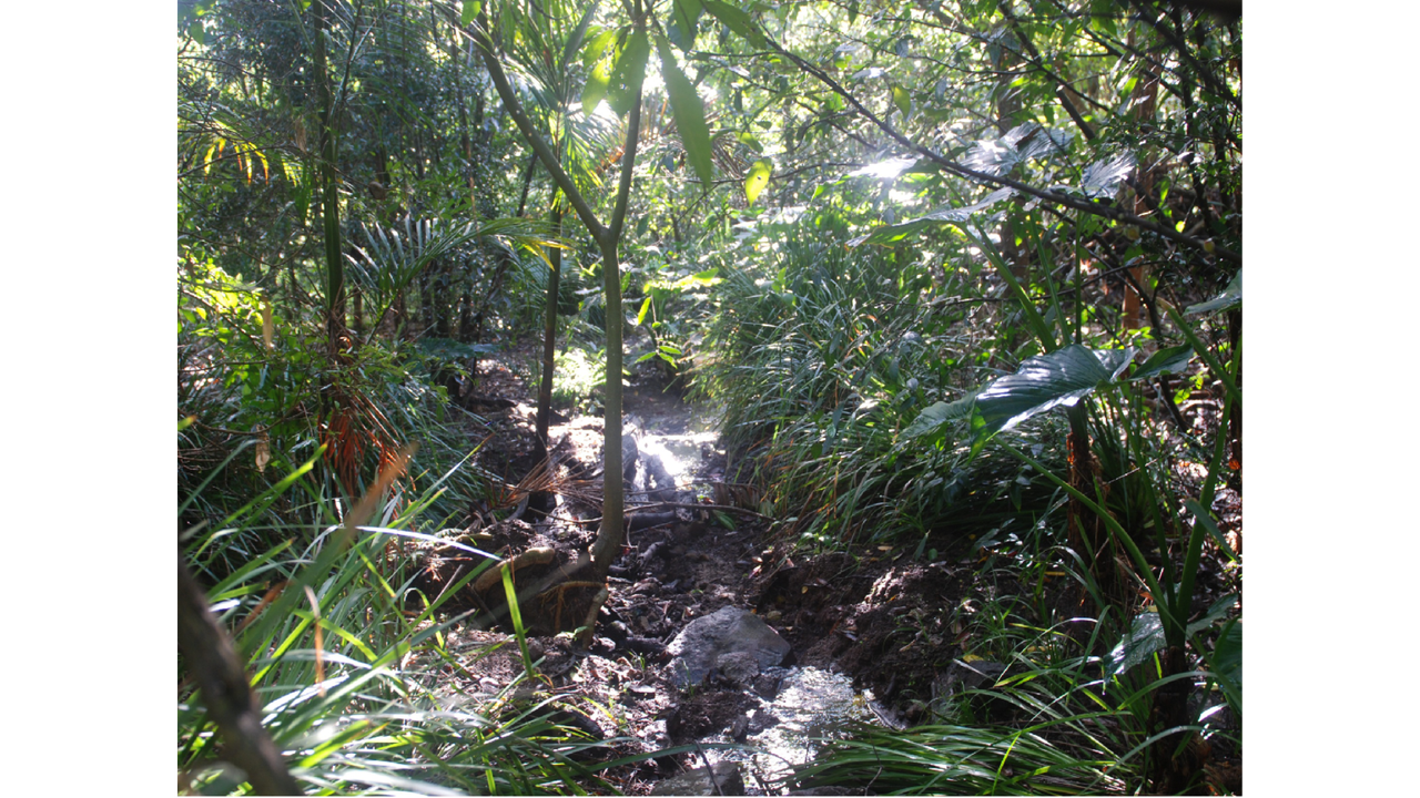 After%20Cooloolabin%20property%20landholder%20environment%20grant.png