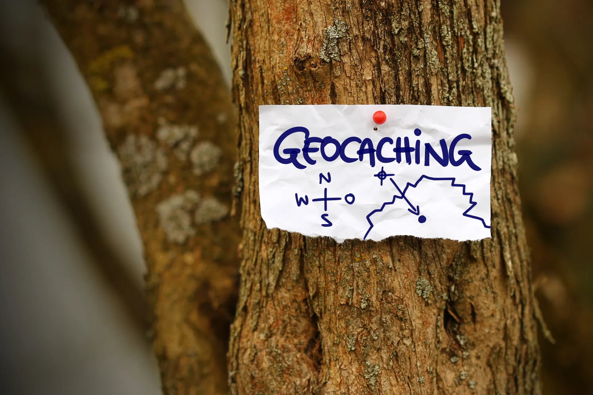 geocaching sign stuck to a tree
