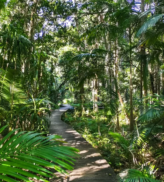 10013_Yaroomba-Bushland-Park-boardwalk_edited.jpg