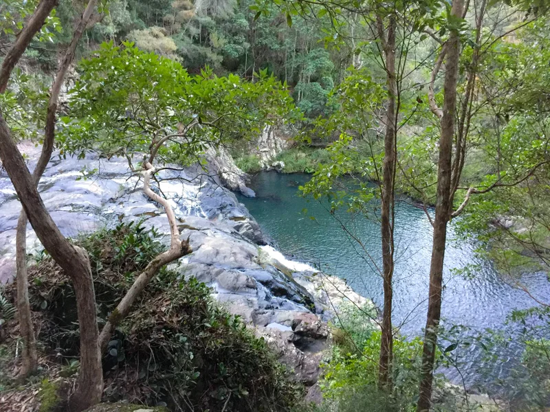 Conondale National Park – Booloumba Falls walk