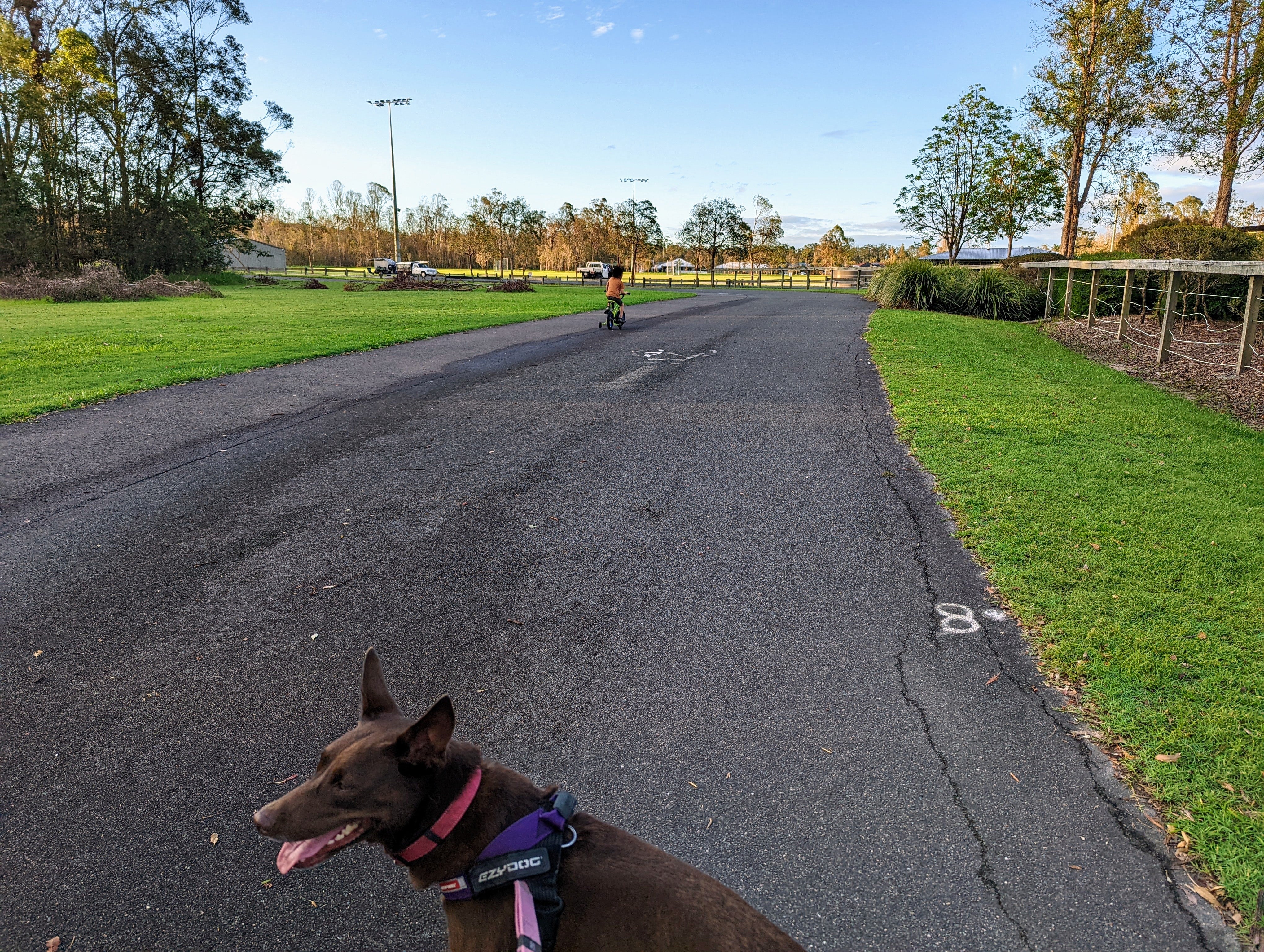 Skippy Park, Landsborough child on bike path with dog