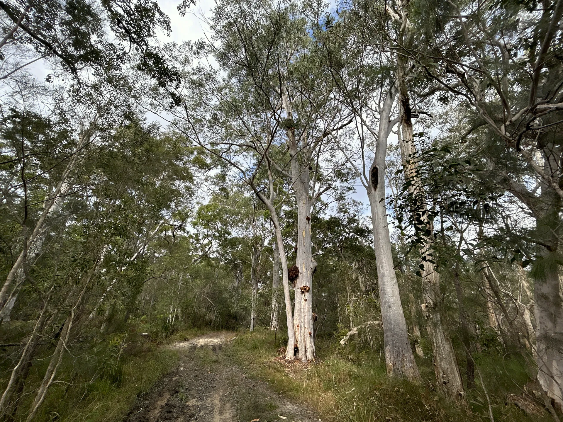 Monak%20Road%202.jpg