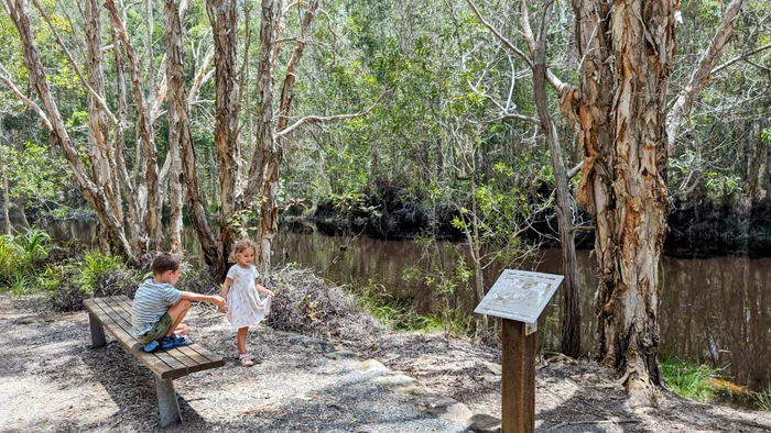 Lamerough Creekside Walk, Pelican Waters