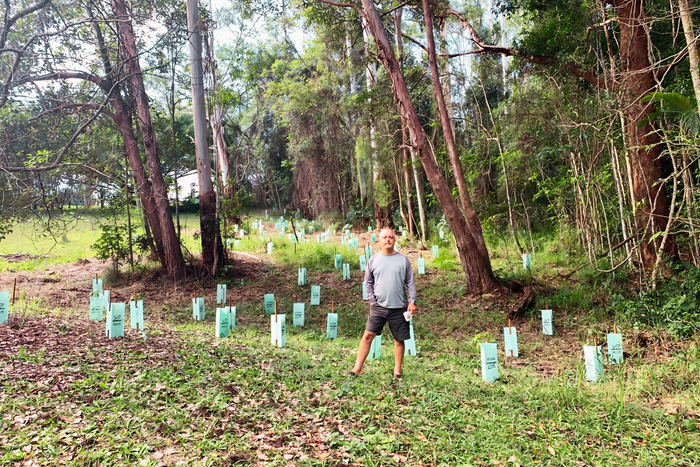 Hein planting on the property