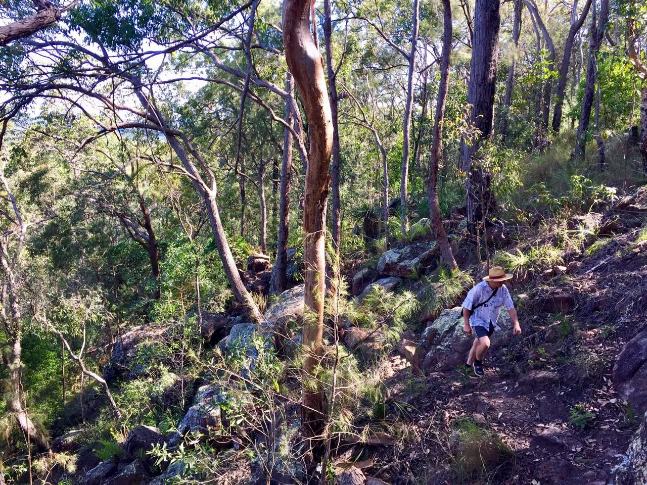 Yul-yan-man Track at Beerburrum