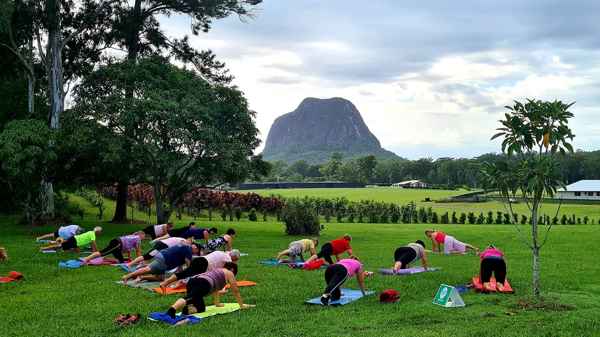 Mountain Movement Qigong