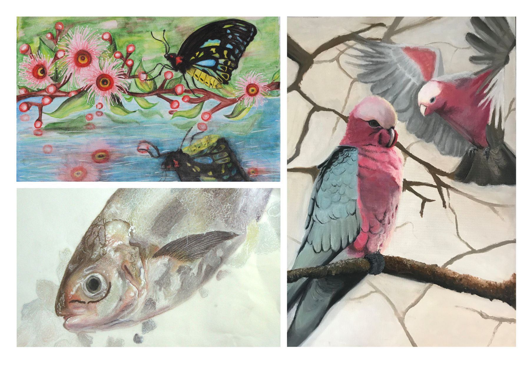 2025 Wild HeART U18 Finalists 2