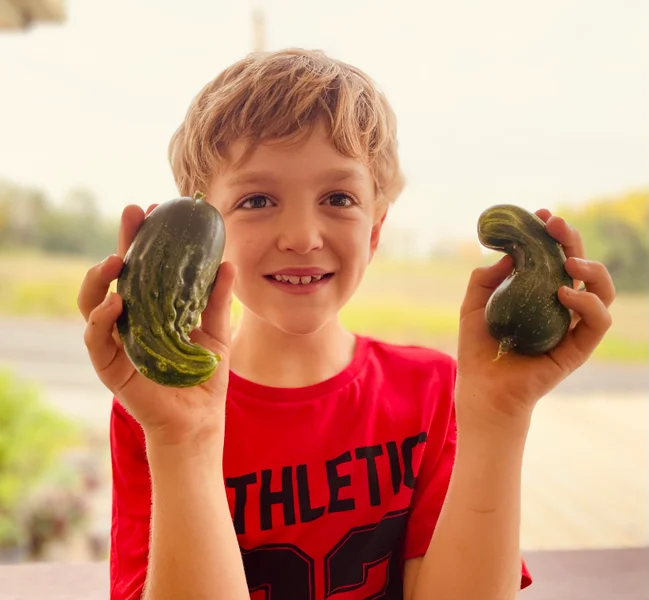 young boy holds up two home grown wonky cucumbers