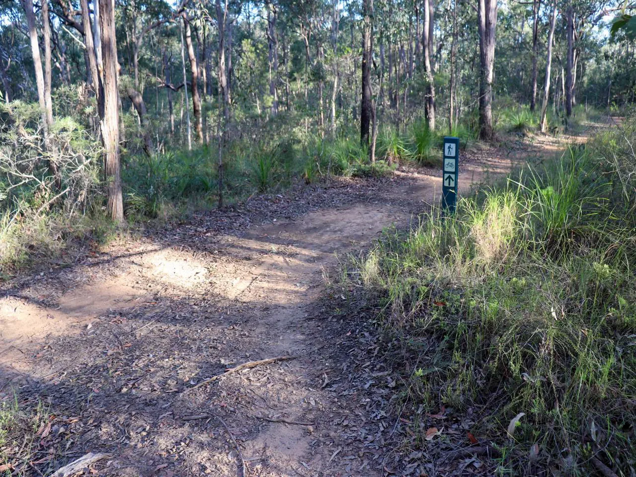Yul-yan-man Track at Beerburrum