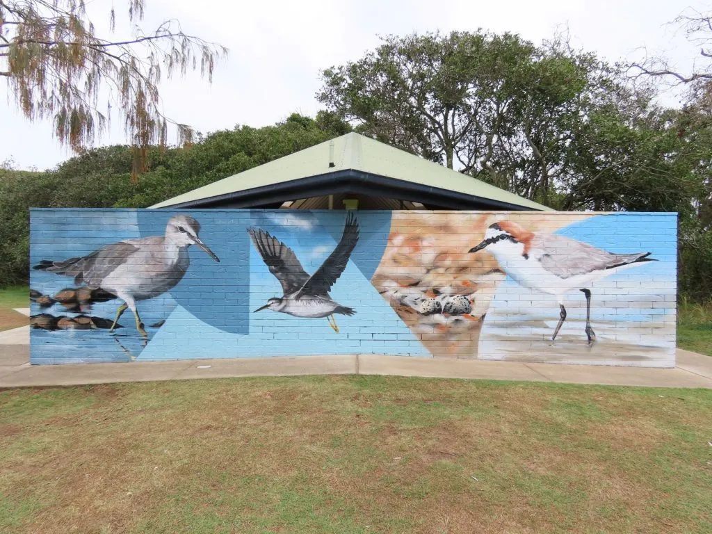 
Shorebird awareness mural by Sunshine Coast artist David Houghton at North Shore Road, Mudjimba