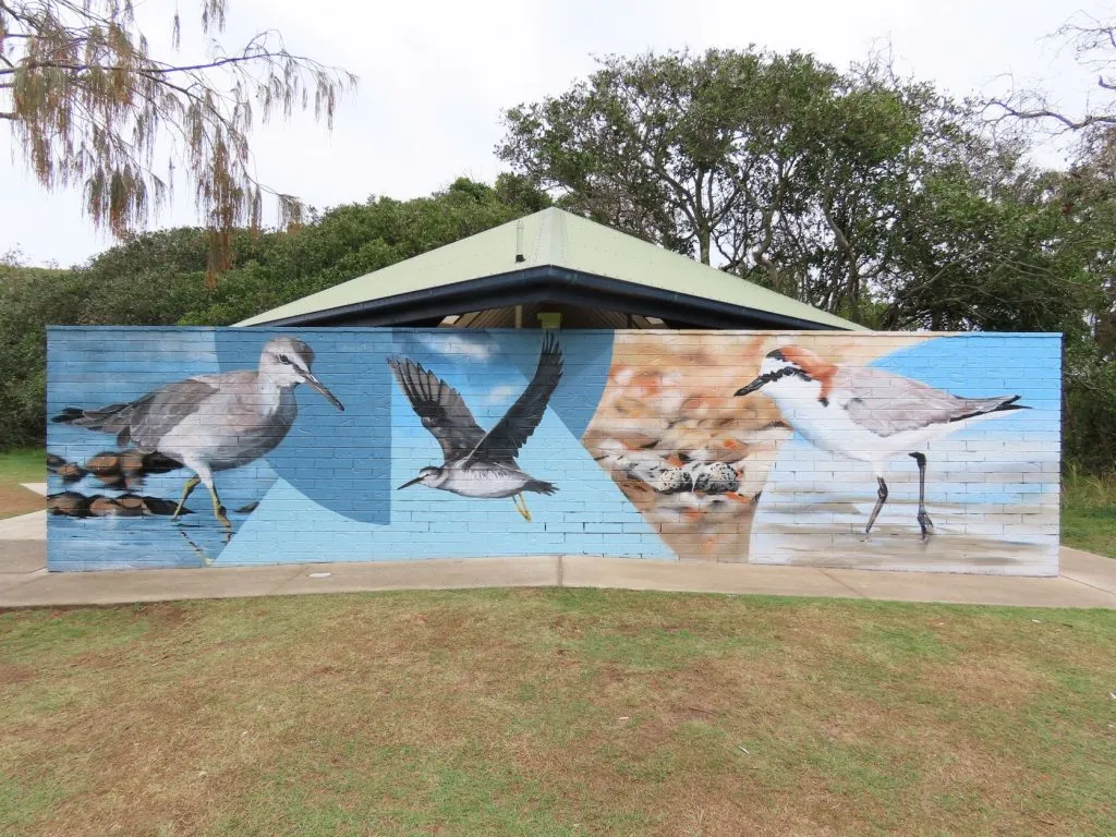 Shorebird awareness mural by Sunshine Coast artist David Houghton at North Shore Road, Mudjimba