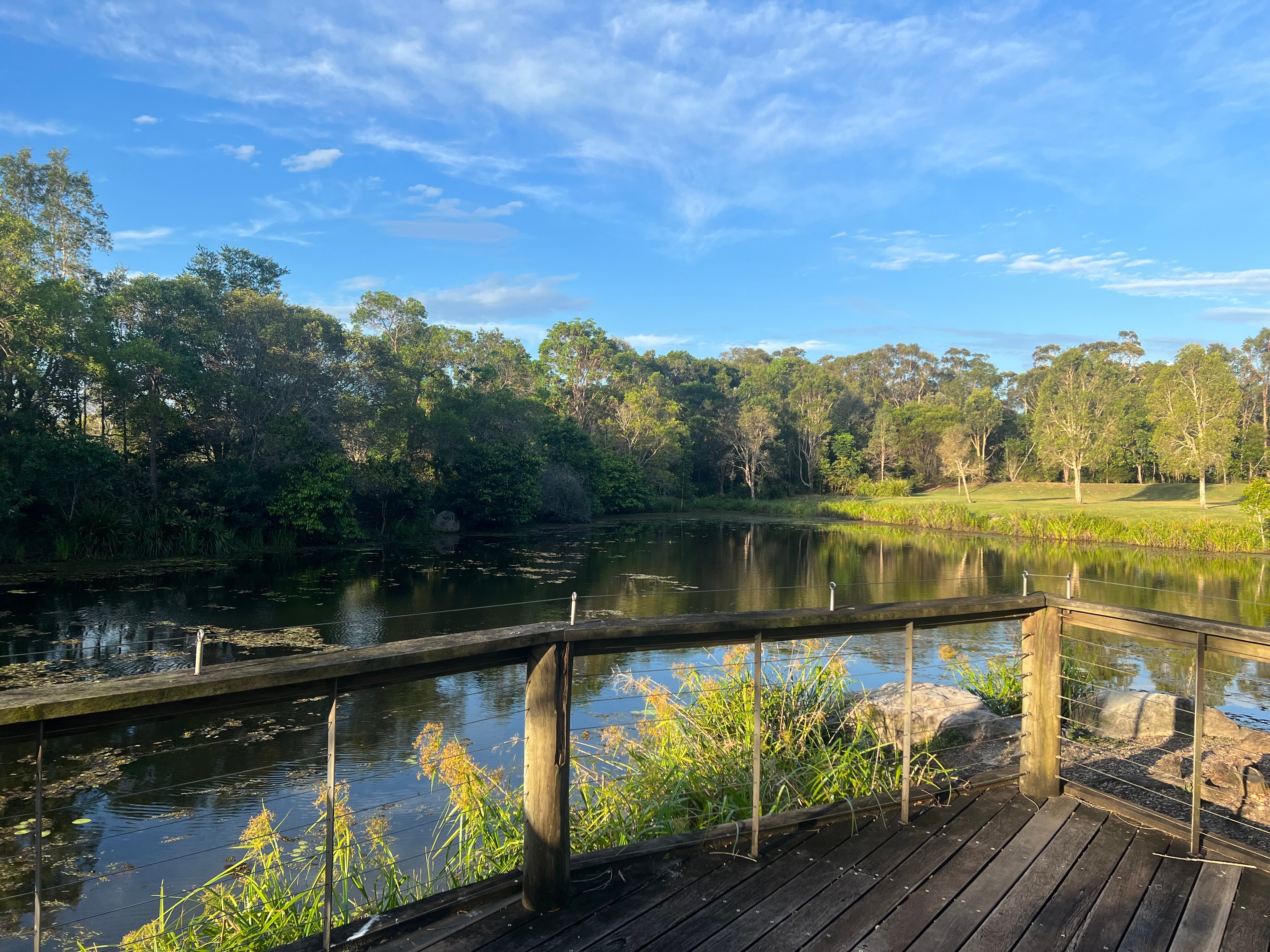 Pond viewing platform