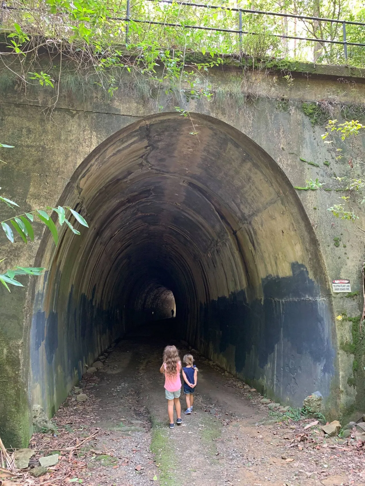 Dularcha National Park – Tunnel Track