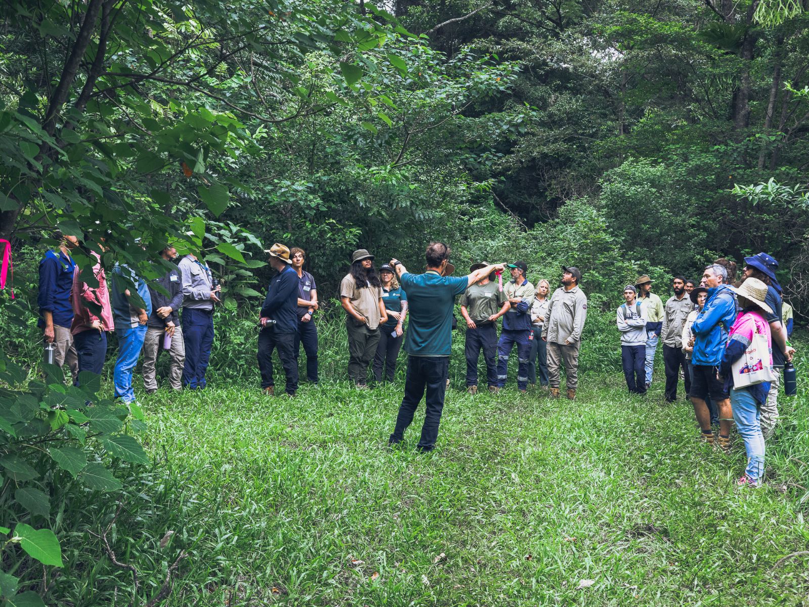 A man addresses people standing in front of a forest as part of the bunya dieback training.