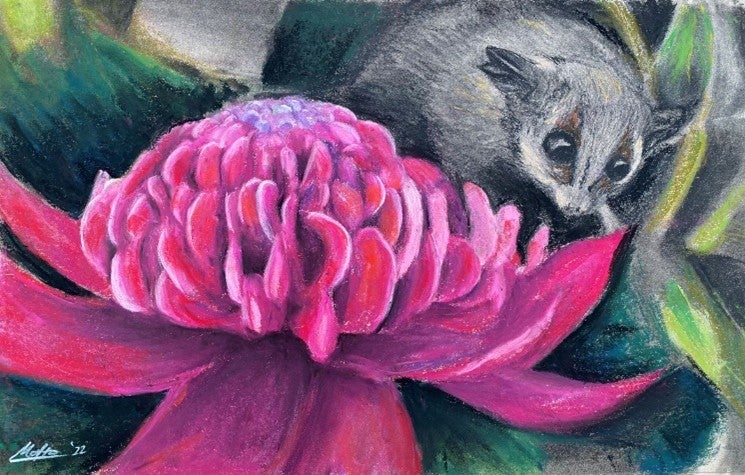 
13 yrs and under winner: Maito T (Pigmy possum) School winner: Art101 studio (Brisbane)