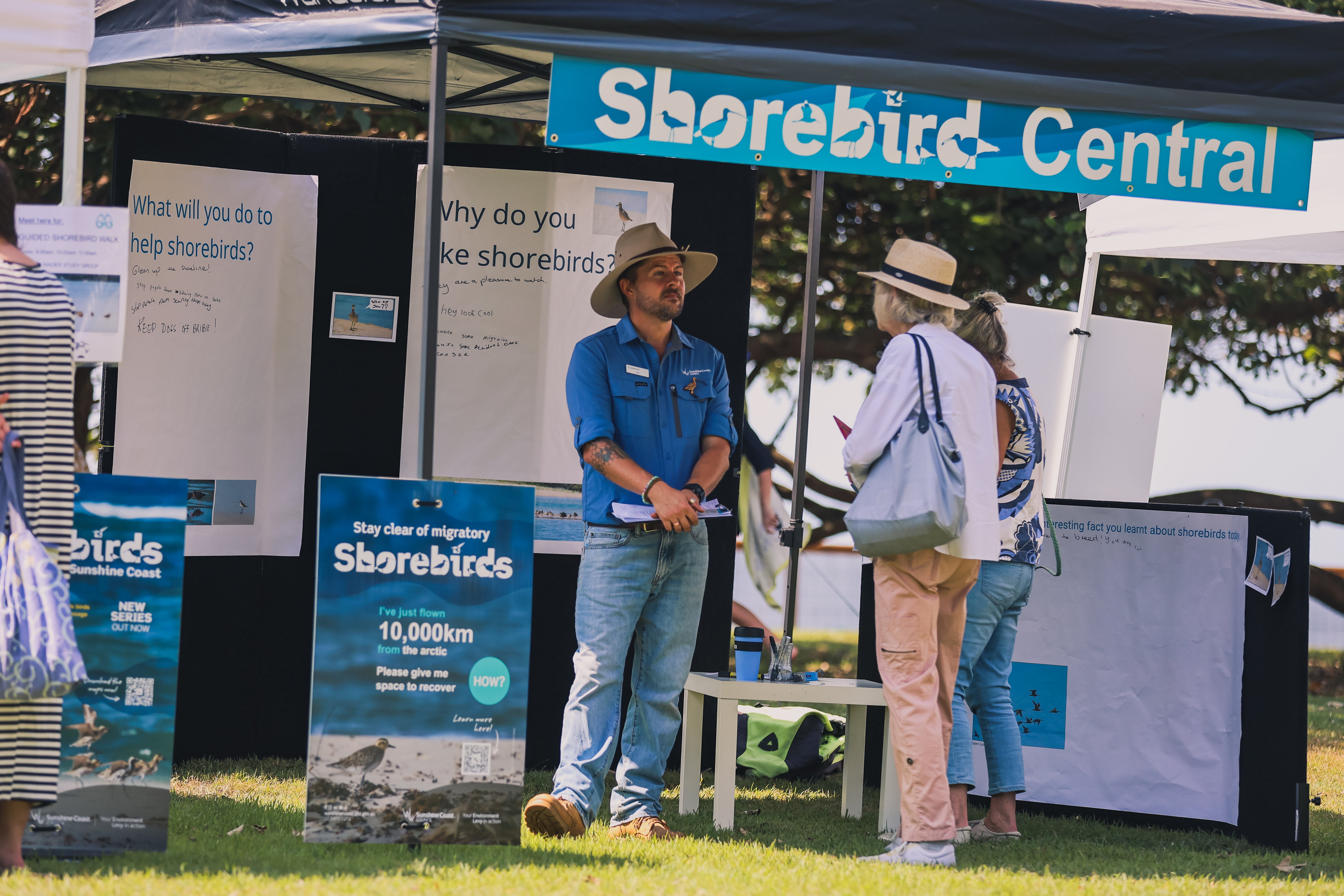 "People enjoying a shorebird festival on a sunny day in a park, with children painting and getting face paint, adults chatting and learning about migratory birds, and various activity stalls visible in the background."
