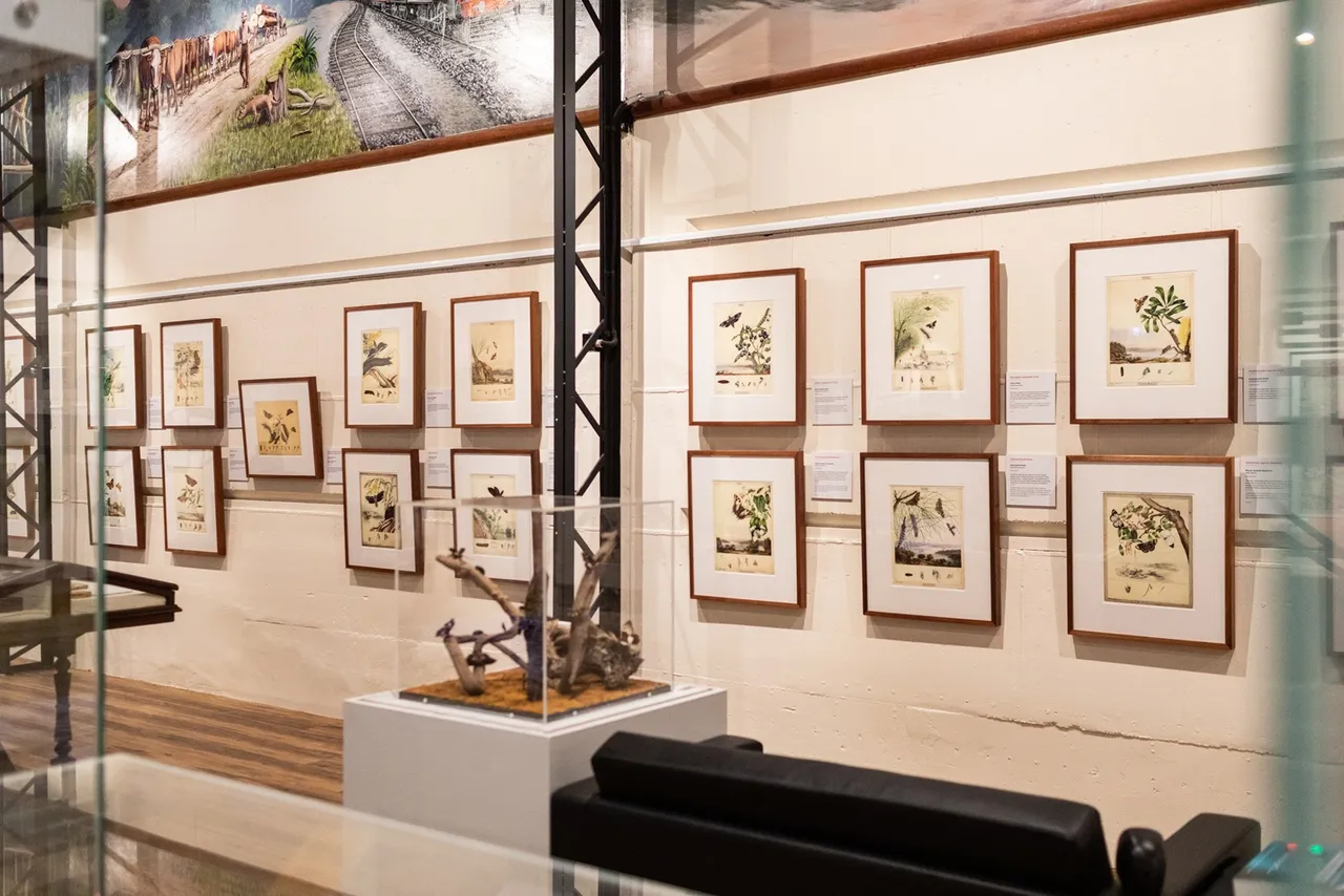 scott sisters exhibition