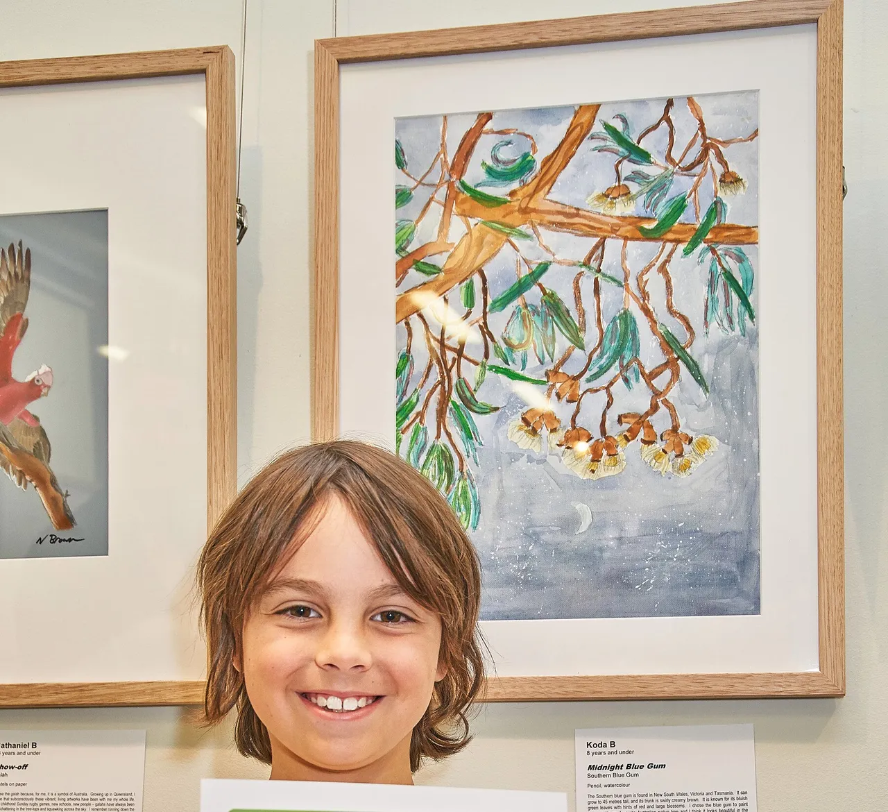 Under 8s “Midnight Blue Gum” by Koda B. Image credit Greg Miller.