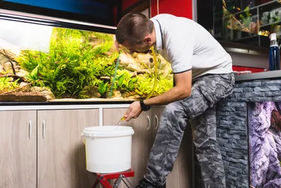 Man changing the water in his fish tank
